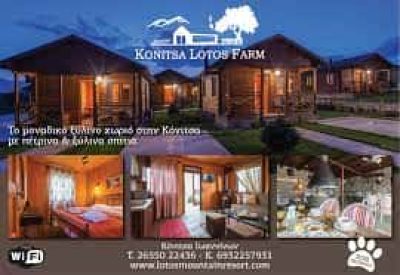 LOTOS MOUNTAIN RESORT &#8211; ΜΕΤΛΟΚΑΣΤ ΕΛΛΑΣ ΕΠΕ ΞΕΝΟΔΟΧΕΙΟ ΚΟΝΙΤΣΑ ΙΩΑΝΝΙΝΩΝ